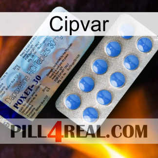 Cipvar 39